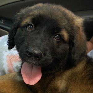 Meet your Posher, Mariah